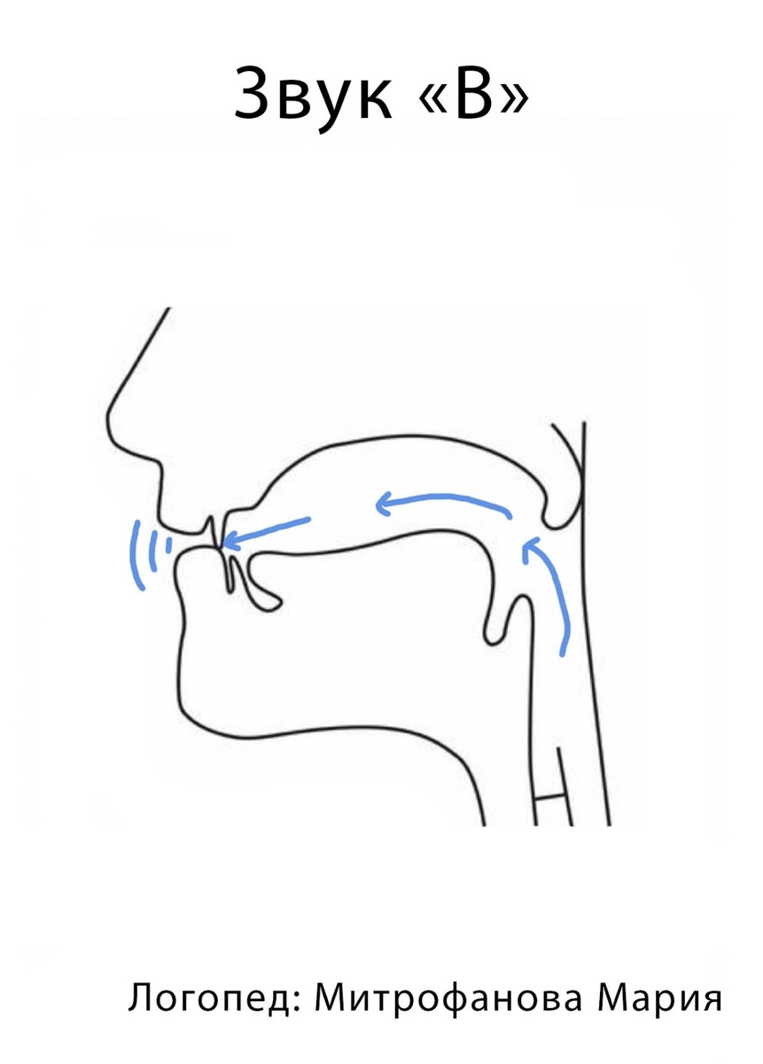Изображение автора статьи 