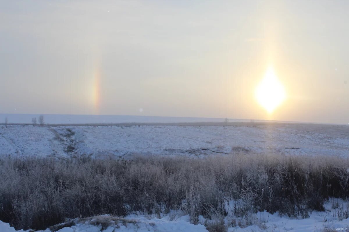    Омские аграрии понесли потери из-за внезапного наступления зимы