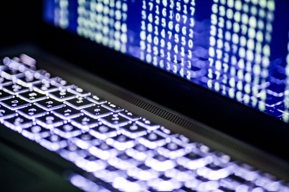    Сергей Лантюхов/NEWS.ru