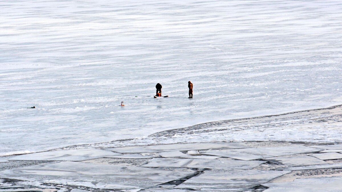    Фото: kotya21/Shutterstock/Fotodom