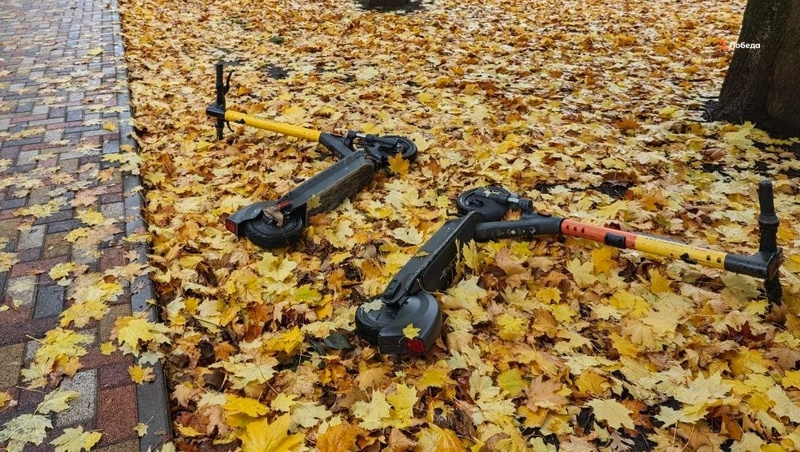      Фото: ИА «Победа26»