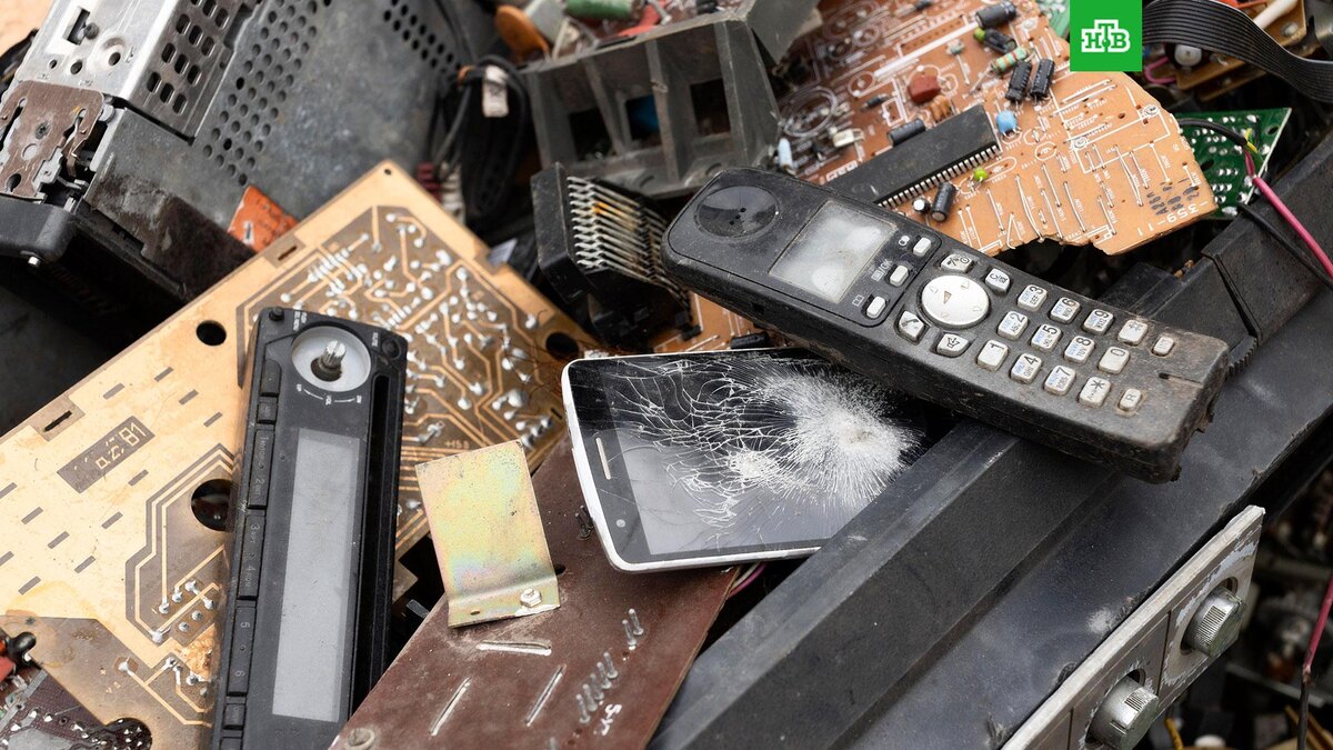    Фото: freepik.com