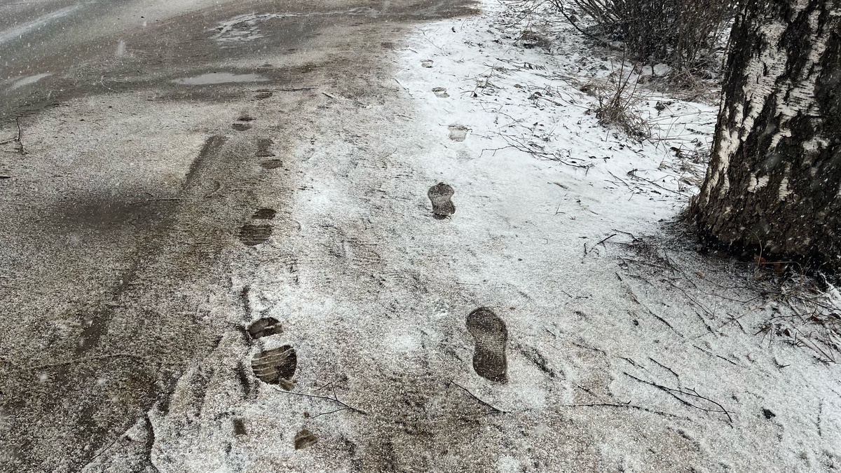    Холод придет резко и без стука: Роман Вильфанд сказал, когда закончится теплая погода