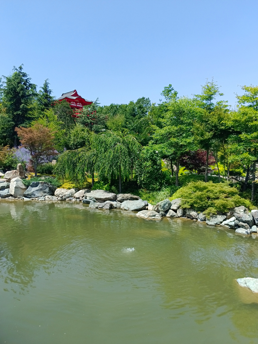 Японский сад. Фото автора