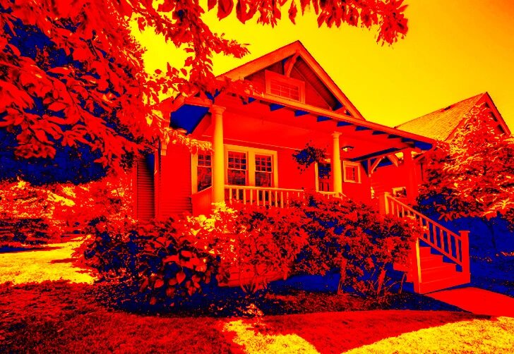 Так видят змеи