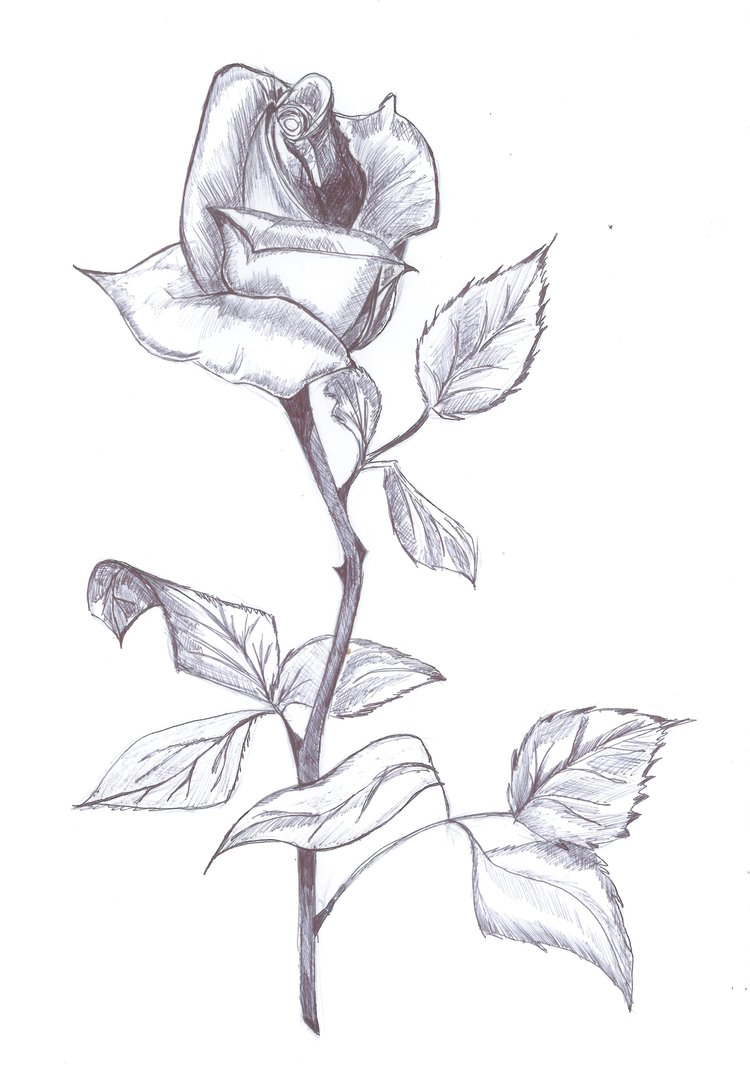 Фото из открытого источника.