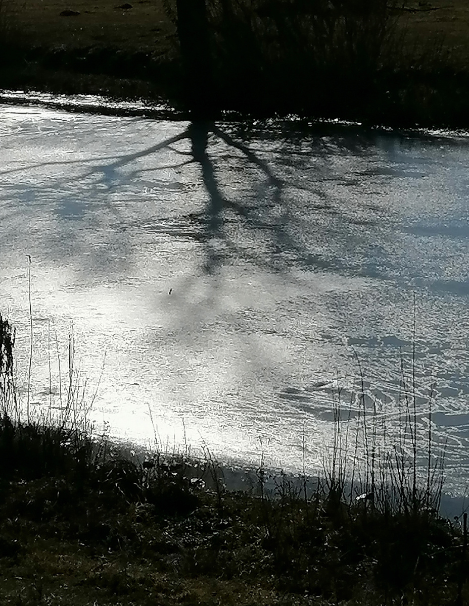 Первый ледок. 