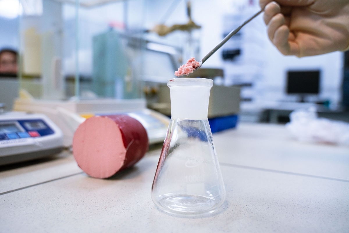 Фото: Александр Плонский / «ВиЖ»