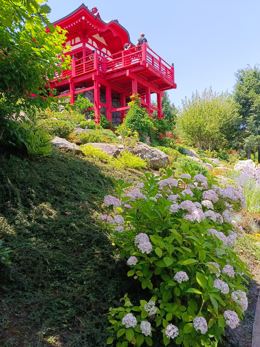 Японский сад. Фото автора