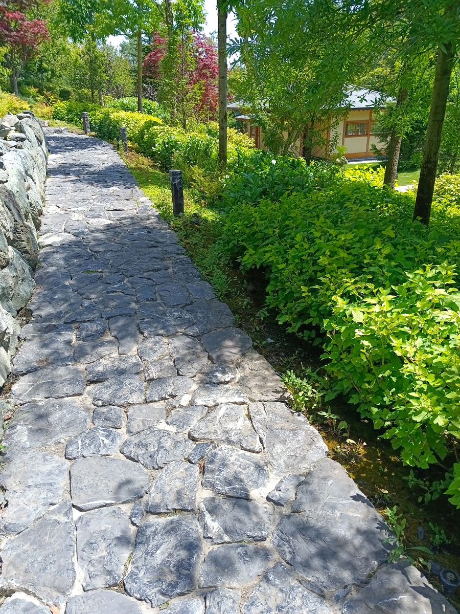 Японский сад. Фото автора