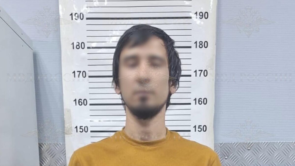    Фото: МВД России