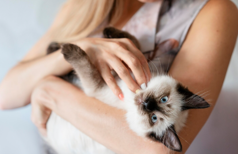 Фото с www.freepik.com