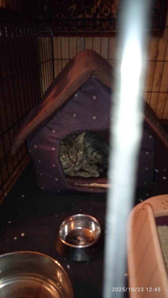 У меня ест дом! Хоть и временный!