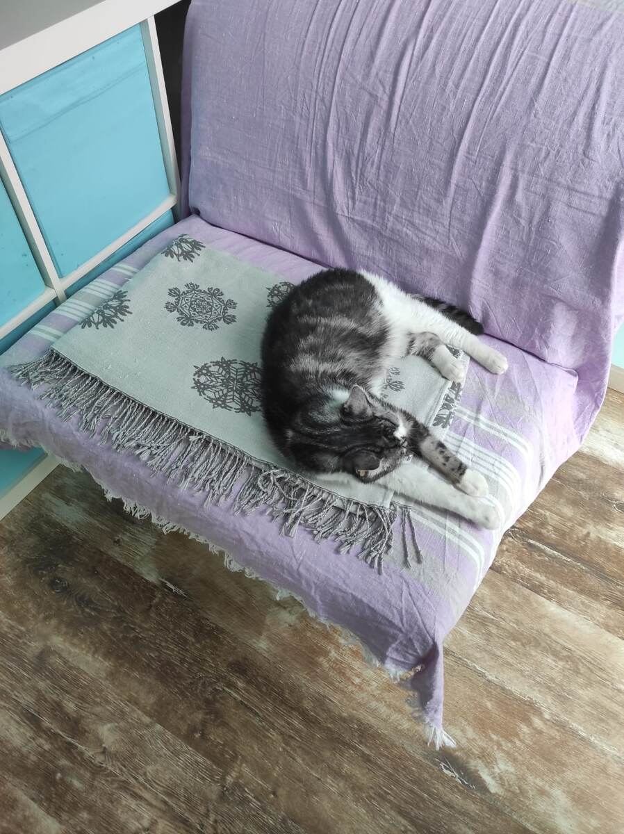 Мы уверены - его все узнают даже в такой позе