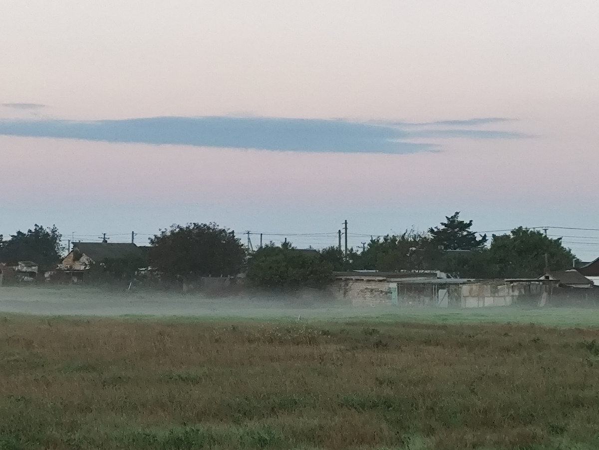 Тонкая пелена над полем