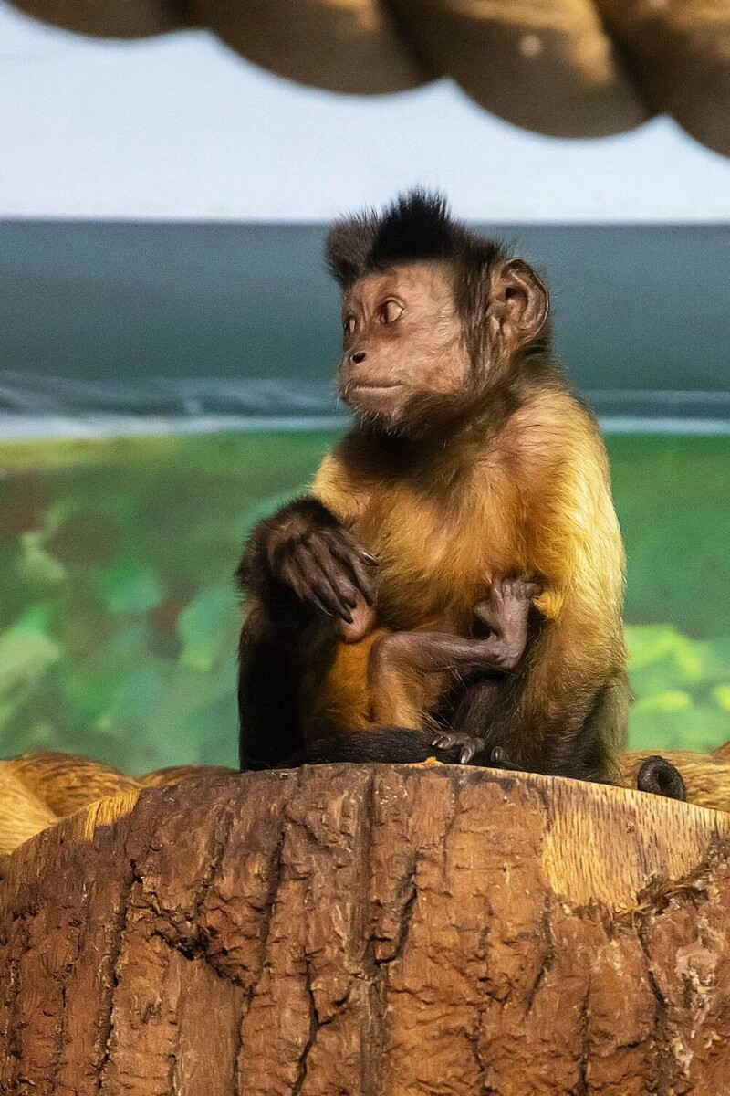     Автор: Юрий Кузнецов Источник: newsnn.ru