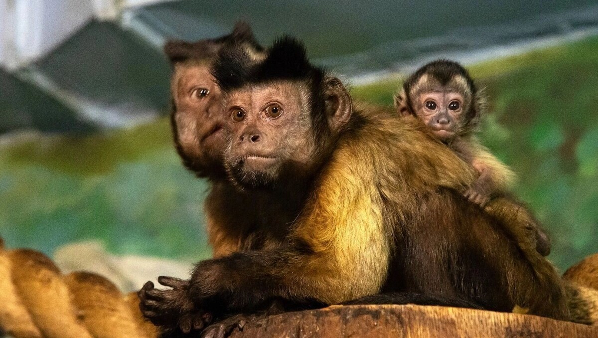     Автор: Юрий Кузнецов Источник: newsnn.ru