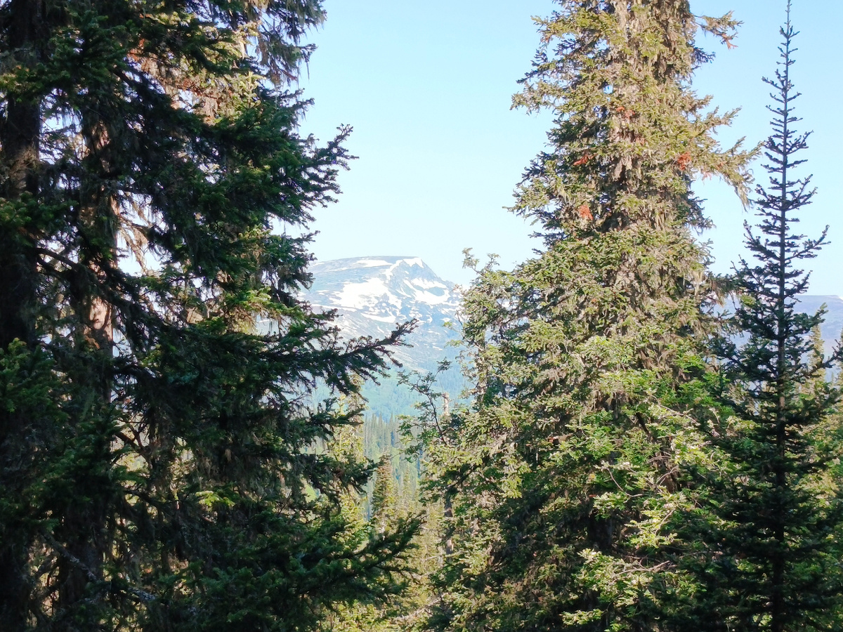 Кузнецкий Алатау