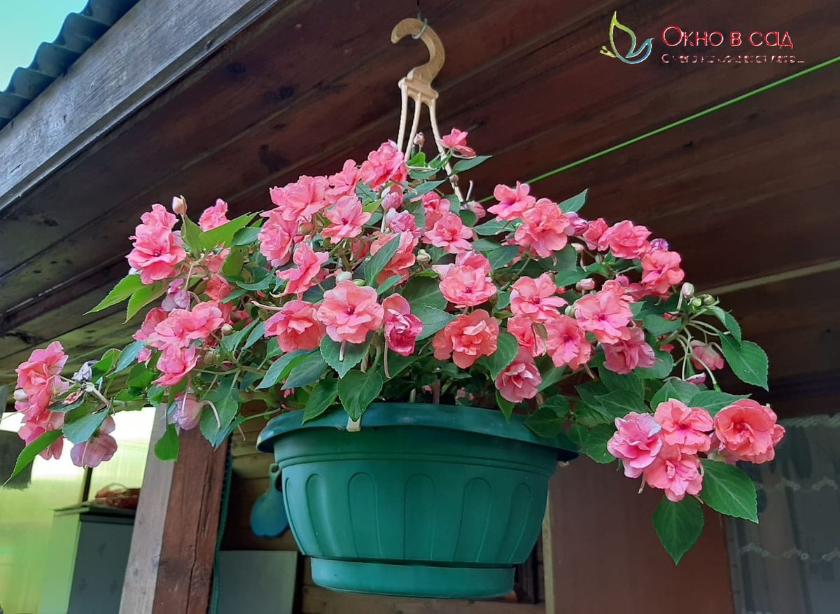 Фото из личного архива автора