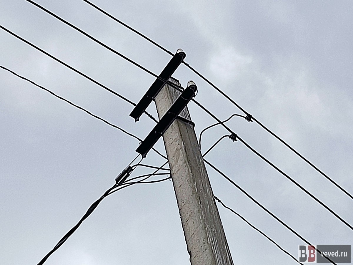     Фото: Юлия Медведева / Вечерние Ведомости