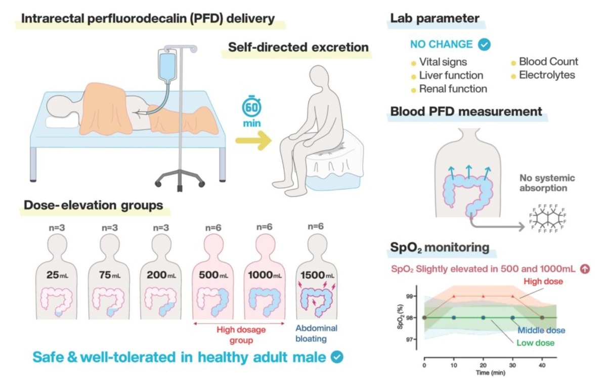    Исследование показало безопасность доставки кислорода через кишечник в любых дозах