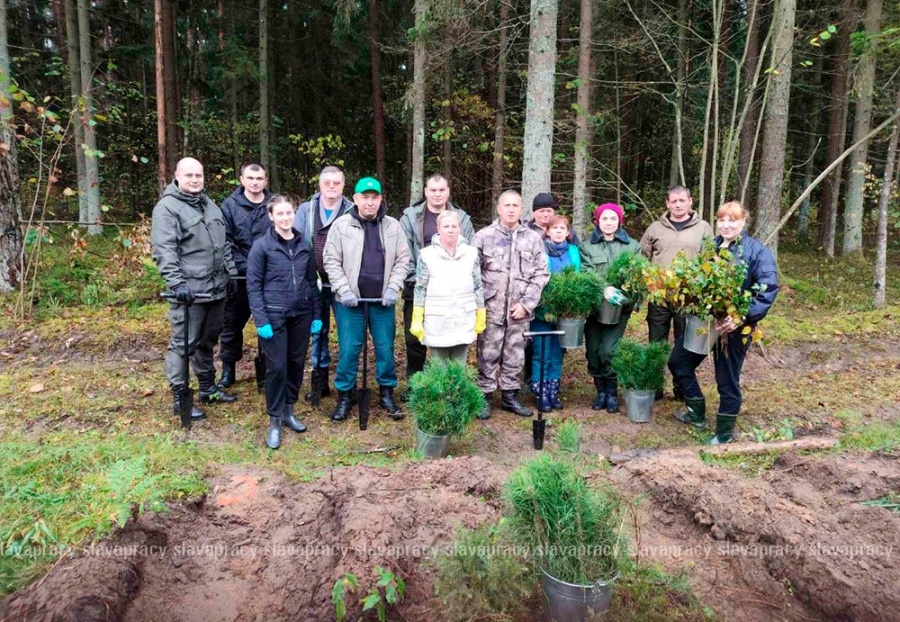     Прокуроры, спасатели и судьи Копыльщины поучаствовали в акции "Дай лесу новае жыццё"