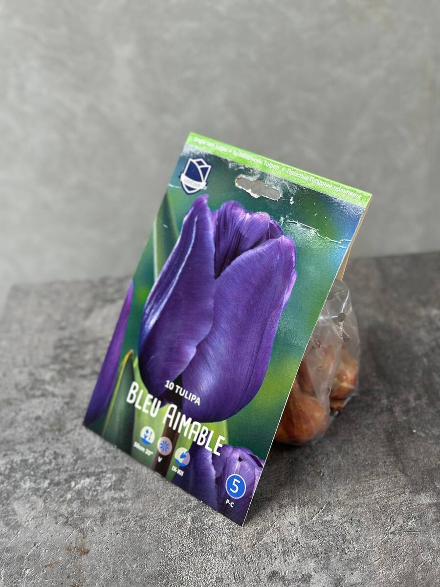 Тюльпан Bleu Aimable