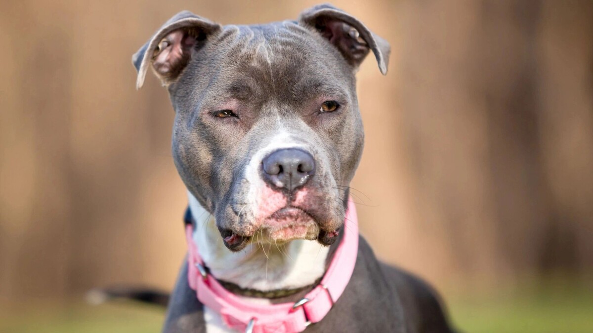    Фото: Mary Swift/Shutterstock/Fotodom