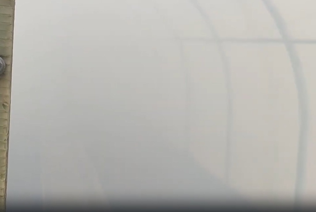  Дым от серной шашки в теплице