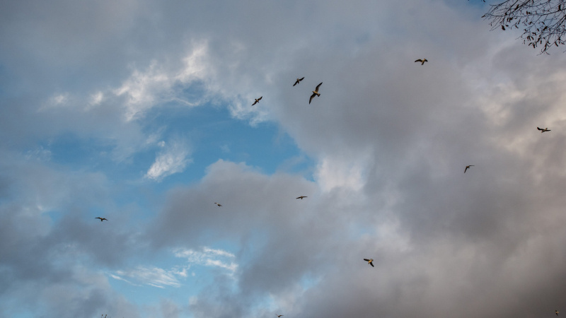    телеканал "Санкт-Петербург" / АО "ГАТР"