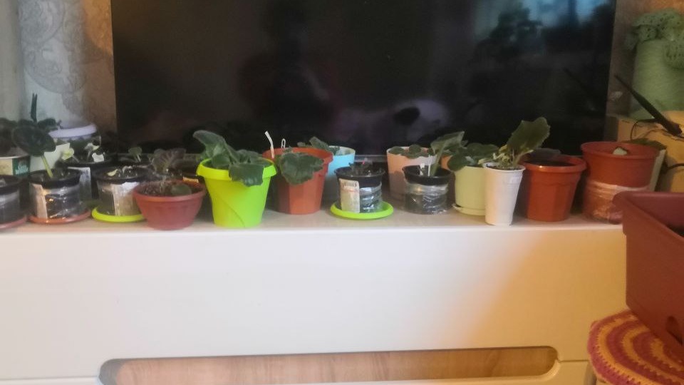 Фото прислала подписчица