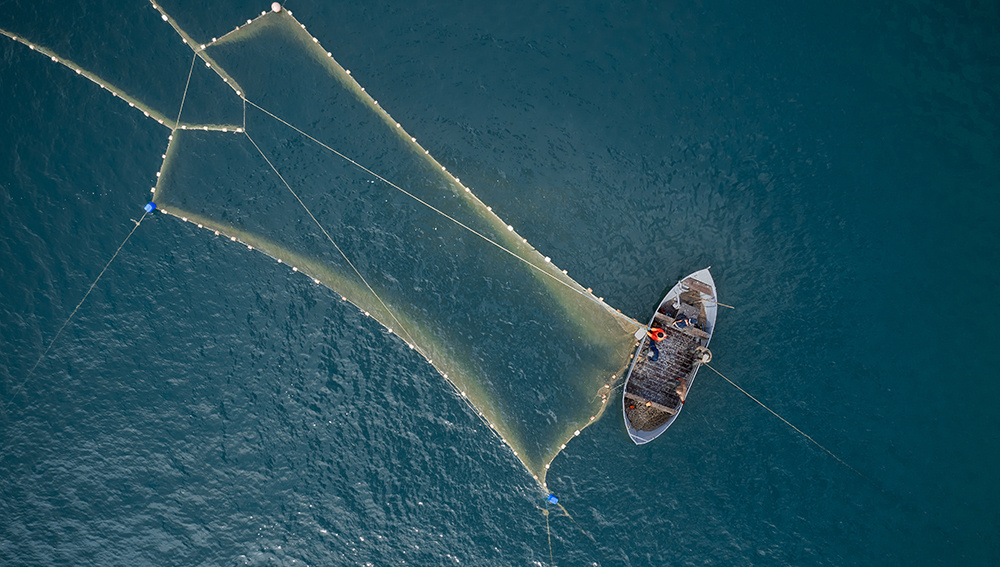     Фото: OlegRi/Shutterstock/FOTODOM