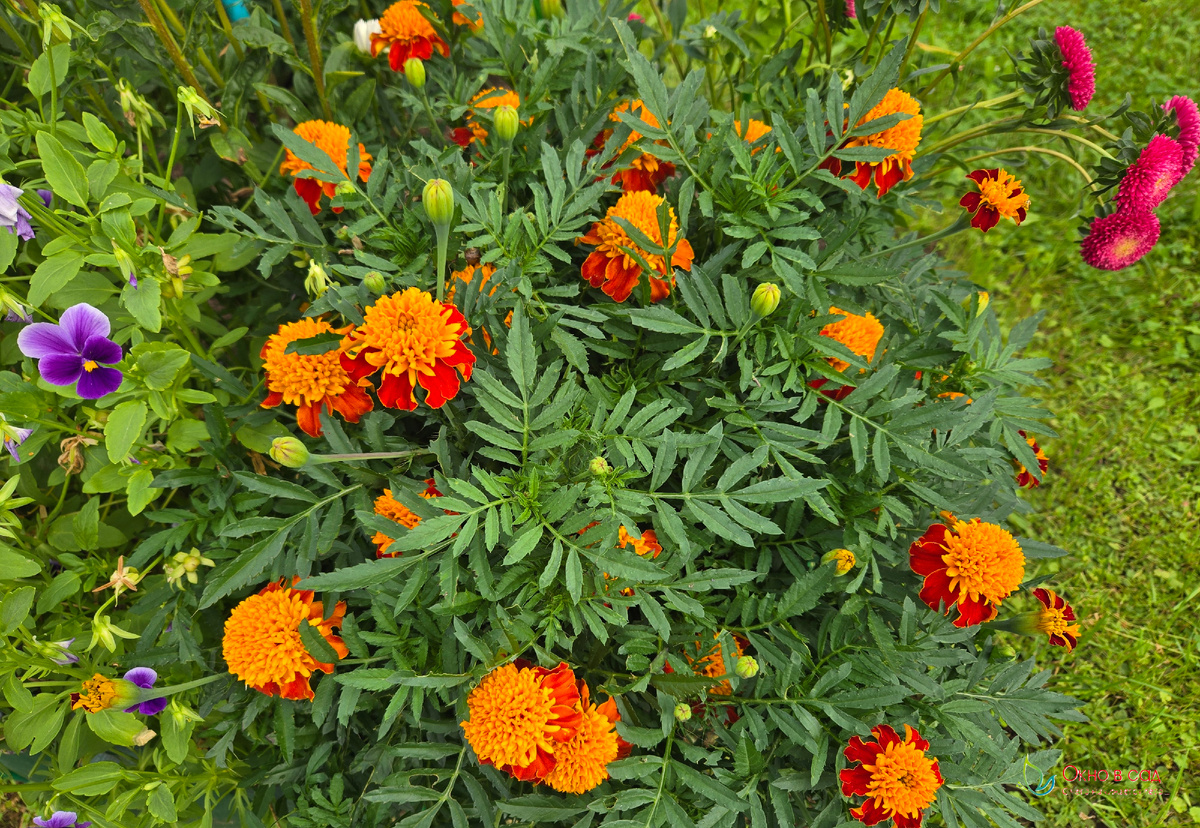 Фото из личного архива автора