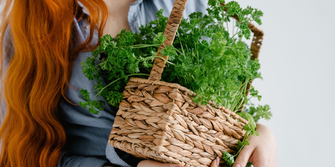 6 главных фактов о пользе петрушки для здоровья