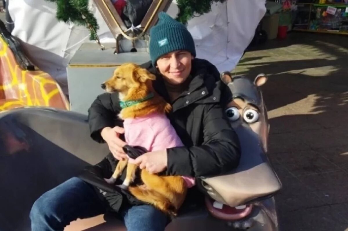    Хозяин потерявшейся у Крымского моста собаки Буси рассказал о ее состоянии