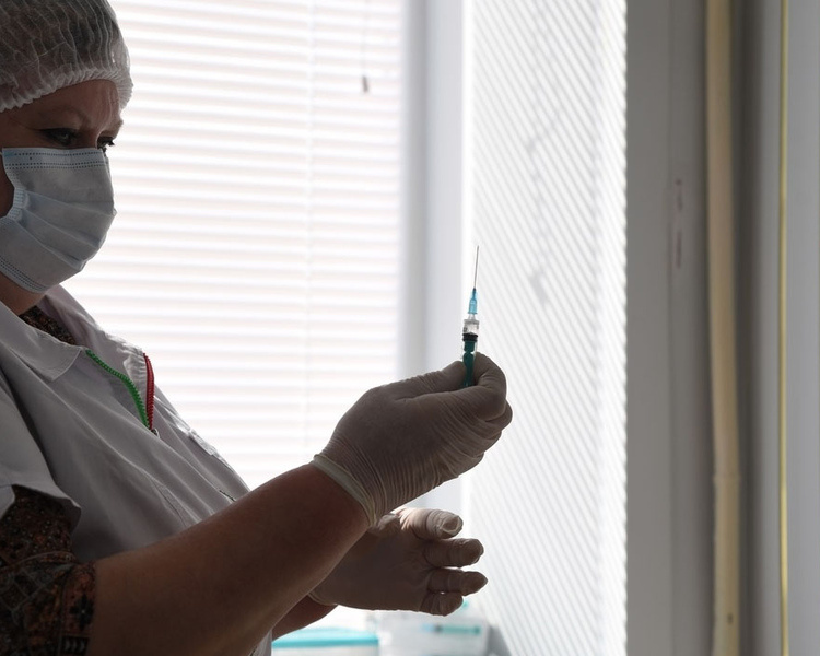     В Курской области представили программу по стимулированию рождаемости