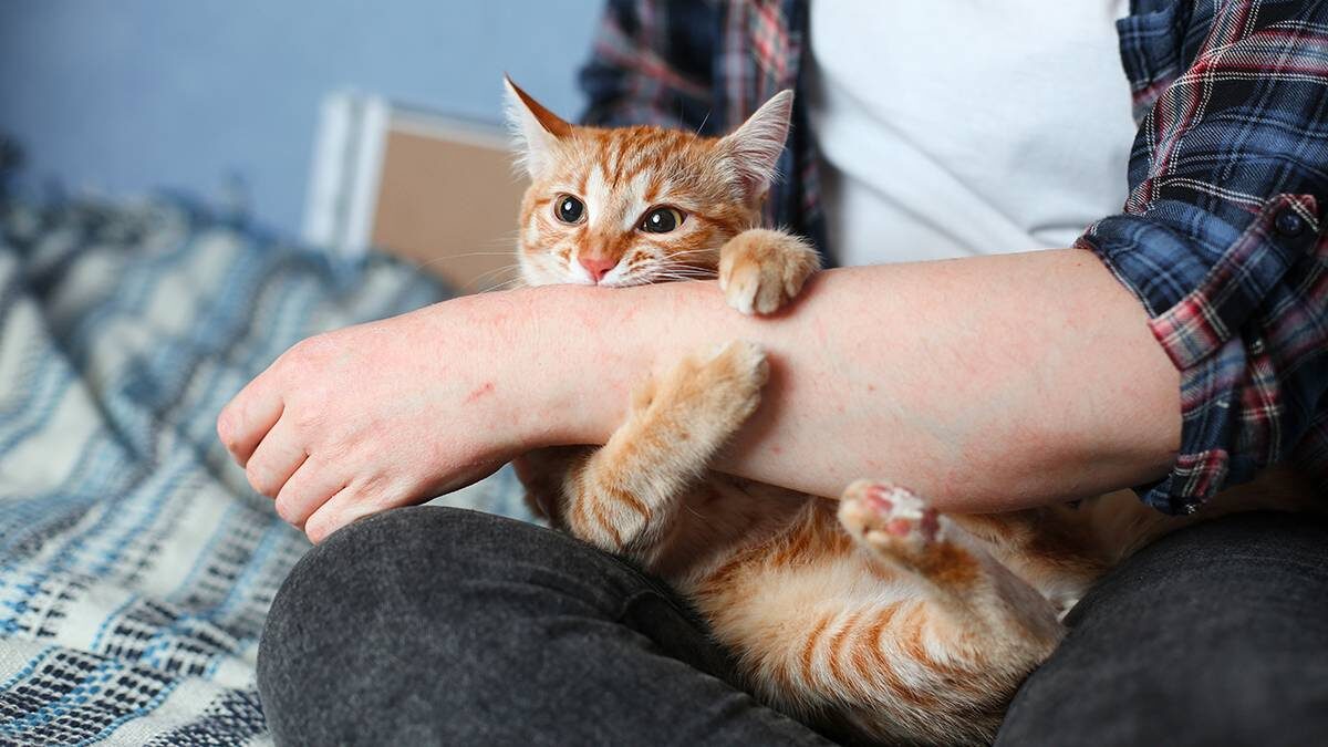    Фото: Shutterstock