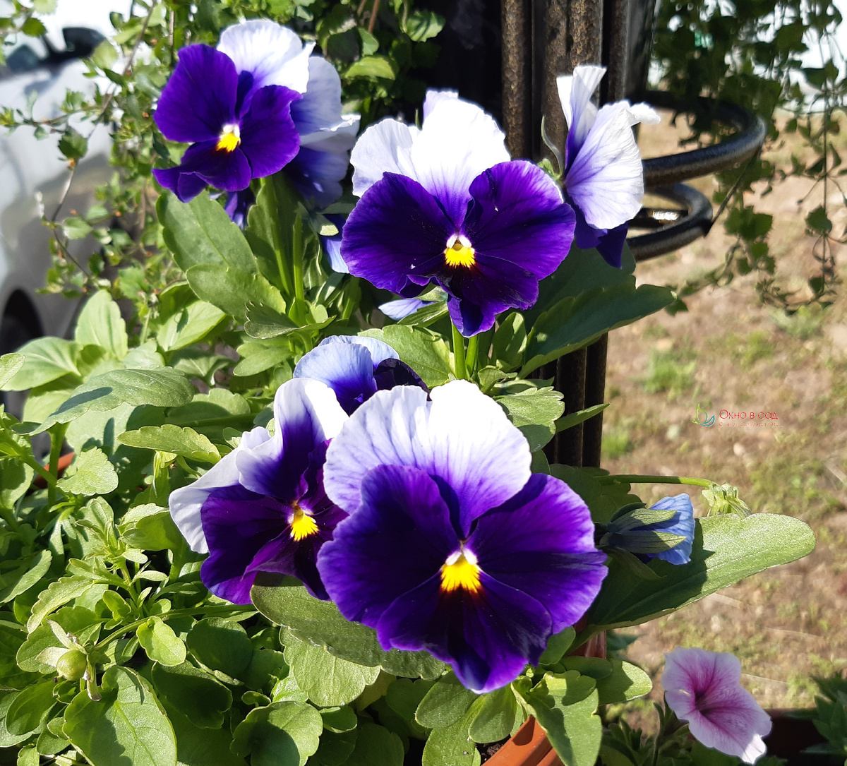 Фото из личного архива автора