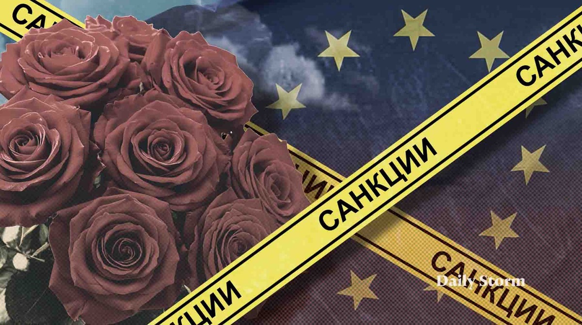    Коллаж: Daily Storm