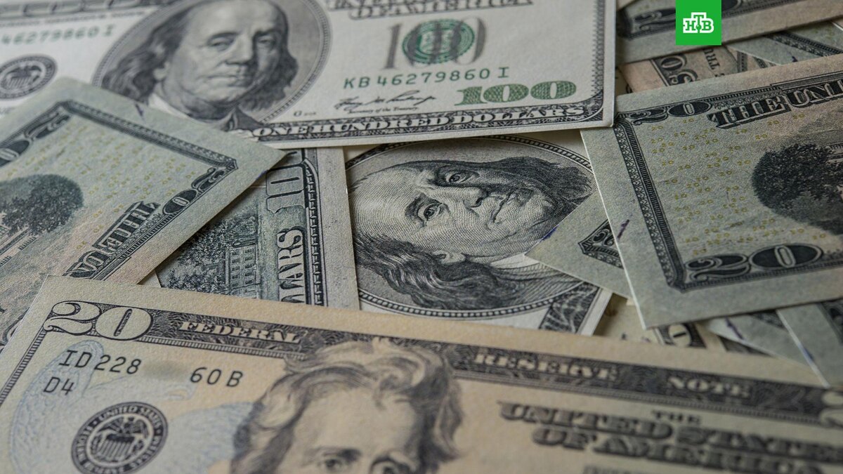    Фото: ru.freepik.com