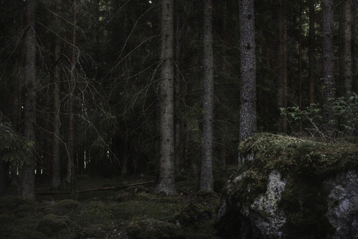 фото из интернета