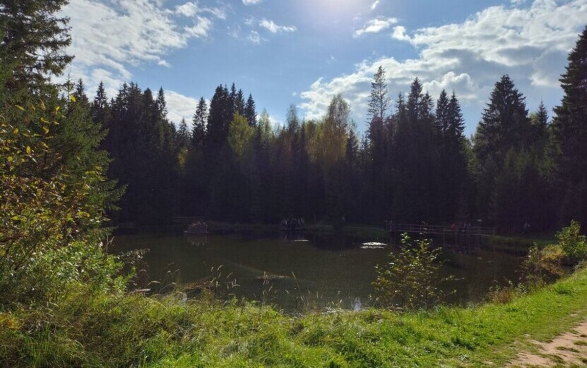    Погода в Ижевске на день: 24 октября ждем небольшие дожди и до +7°С