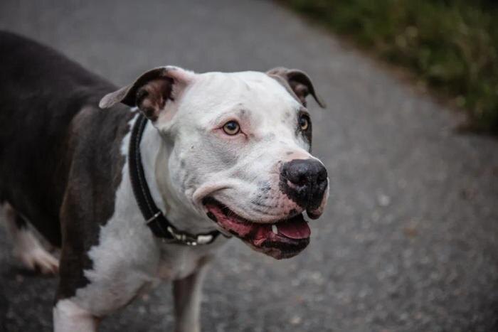 Обложка © Shutterstock / FOTODOM / Freddy Sky