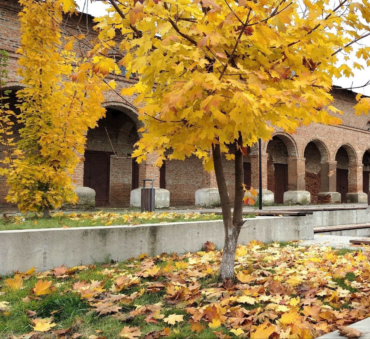Осень в нашем городе 