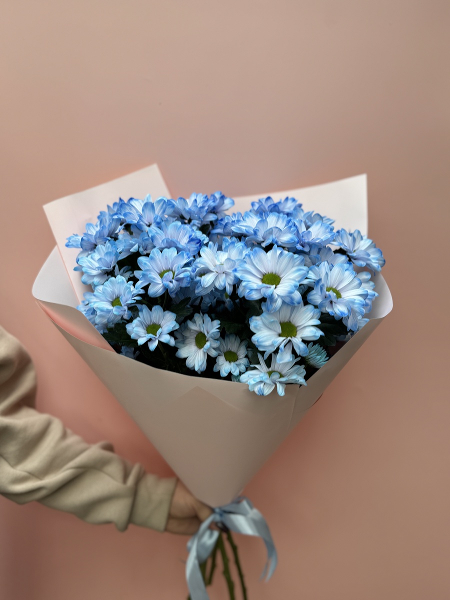 Букет из нежно-голубой хризантемы