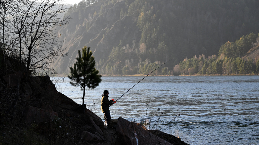    Фото: © РИА Новости/Илья Наймушин