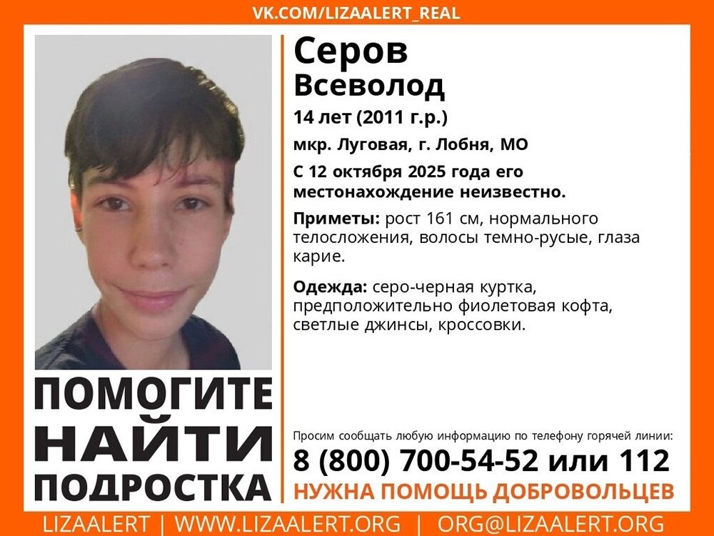    В Московской области все силы спасателей брошены на поиски Всеволода Серова. Их ведут СК и волонтеры. Фото: Лиза Алерт