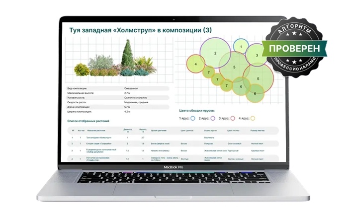 Базовая композиция