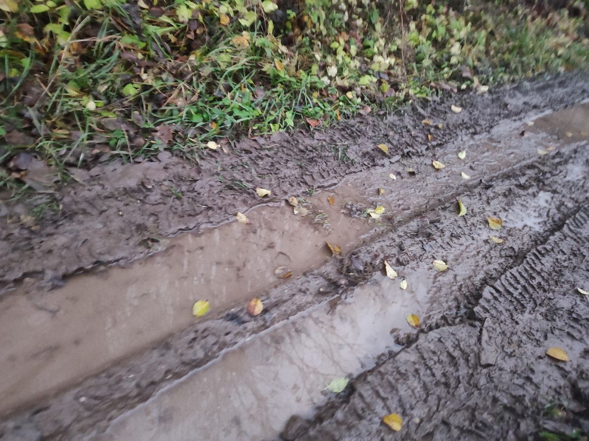 дорога соседей, я тут не езжу никогда