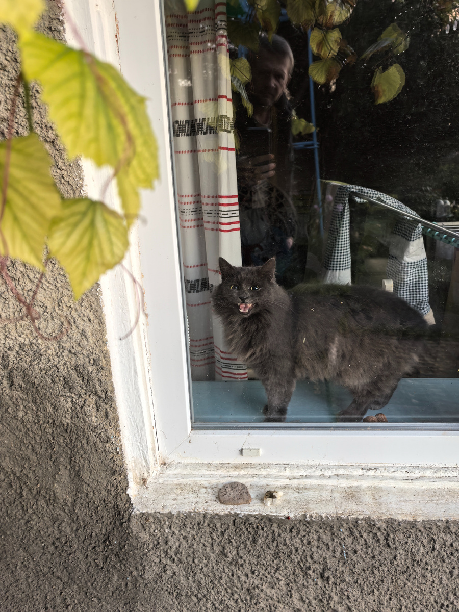 Там и хозяин в отражении